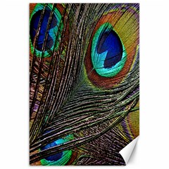 Peacock Feathers Canvas 20  X 30   by Simbadda