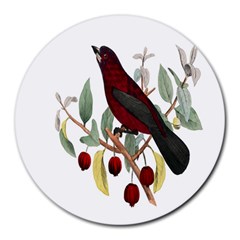 Bird On Branch Illustration Round Mousepads by Amaryn4rt