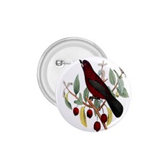 Bird On Branch Illustration 1 75  Buttons by Amaryn4rt