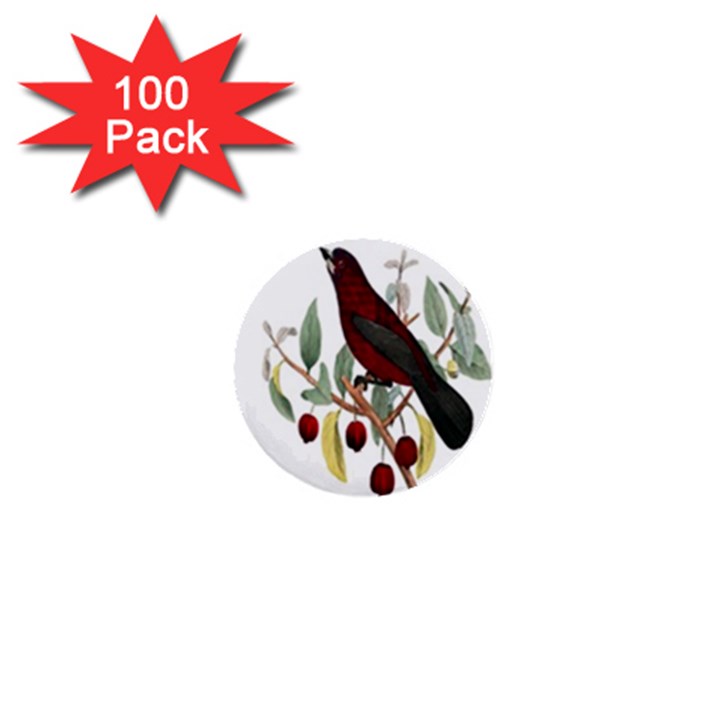 Bird On Branch Illustration 1  Mini Buttons (100 pack) 