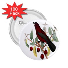 Bird On Branch Illustration 2 25  Buttons (100 Pack)  by Amaryn4rt