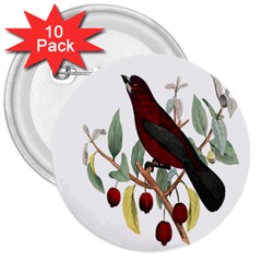 Bird On Branch Illustration 3  Buttons (10 Pack)  by Amaryn4rt