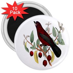 Bird On Branch Illustration 3  Magnets (10 Pack)  by Amaryn4rt