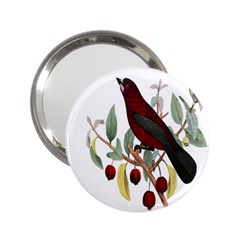 Bird On Branch Illustration 2 25  Handbag Mirrors by Amaryn4rt