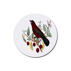 Bird On Branch Illustration Rubber Coaster (round)  by Amaryn4rt