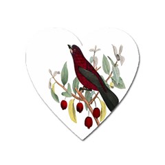 Bird On Branch Illustration Heart Magnet by Amaryn4rt