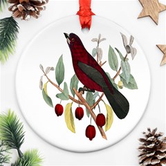 Bird On Branch Illustration Round Ornament (two Sides) by Amaryn4rt