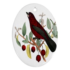 Bird On Branch Illustration Oval Ornament (two Sides) by Amaryn4rt