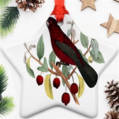 Bird On Branch Illustration Star Ornament (two Sides) by Amaryn4rt