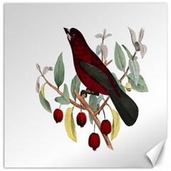 Bird On Branch Illustration Canvas 12  X 12   by Amaryn4rt