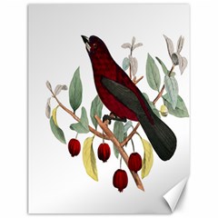 Bird On Branch Illustration Canvas 12  X 16   by Amaryn4rt