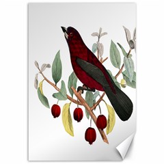 Bird On Branch Illustration Canvas 12  X 18   by Amaryn4rt