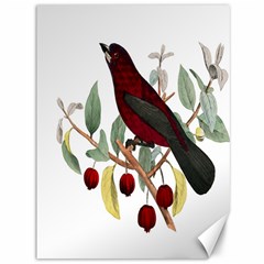 Bird On Branch Illustration Canvas 36  X 48   by Amaryn4rt