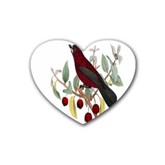 Bird On Branch Illustration Rubber Coaster (heart)  by Amaryn4rt