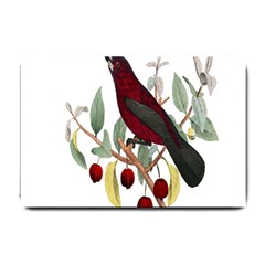 Bird On Branch Illustration Small Doormat  by Amaryn4rt