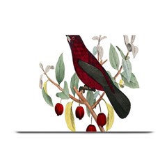 Bird On Branch Illustration Plate Mats by Amaryn4rt