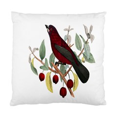 Bird On Branch Illustration Standard Cushion Case (one Side) by Amaryn4rt