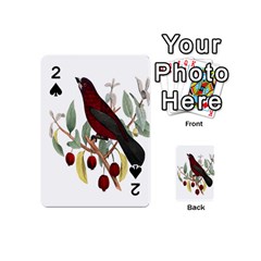 Bird On Branch Illustration Playing Cards 54 (mini) 