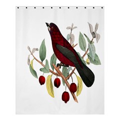 Bird On Branch Illustration Shower Curtain 60  X 72  (medium) 