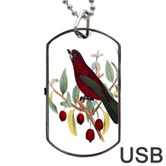 Bird On Branch Illustration Dog Tag Usb Flash (one Side) by Amaryn4rt