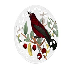 Bird On Branch Illustration Oval Filigree Ornament (two Sides) by Amaryn4rt