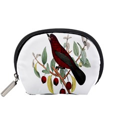 Bird On Branch Illustration Accessory Pouches (small)  by Amaryn4rt