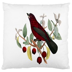 Bird On Branch Illustration Standard Flano Cushion Case (two Sides) by Amaryn4rt