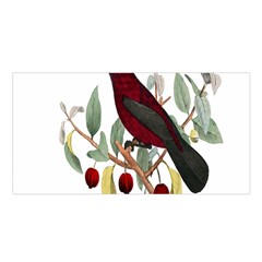 Bird On Branch Illustration Satin Shawl