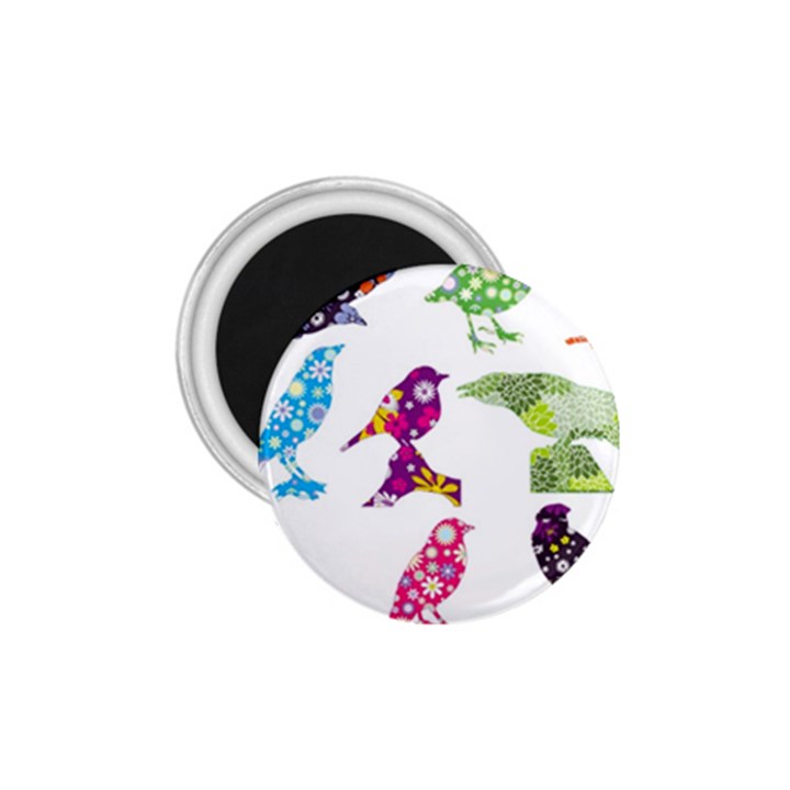 Birds Colorful Floral Funky 1.75  Magnets