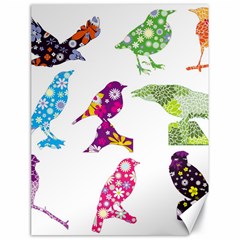 Birds Colorful Floral Funky Canvas 18  X 24   by Amaryn4rt