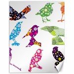 Birds Colorful Floral Funky Canvas 18  x 24   17.8 x23.08  Canvas - 1