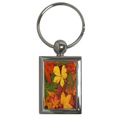 Colorful Autumn Leaves Leaf Background Key Chains (rectangle)  by Amaryn4rt