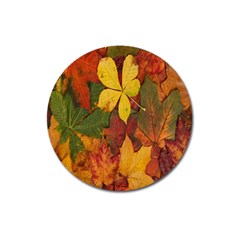 Colorful Autumn Leaves Leaf Background Magnet 3  (round) by Amaryn4rt