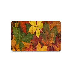 Colorful Autumn Leaves Leaf Background Magnet (name Card) by Amaryn4rt