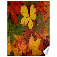 Colorful Autumn Leaves Leaf Background Canvas 12  X 16   by Amaryn4rt