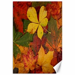 Colorful Autumn Leaves Leaf Background Canvas 12  X 18   by Amaryn4rt