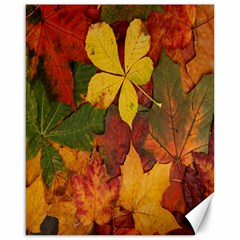 Colorful Autumn Leaves Leaf Background Canvas 16  X 20   by Amaryn4rt