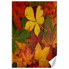 Colorful Autumn Leaves Leaf Background Canvas 20  X 30   by Amaryn4rt