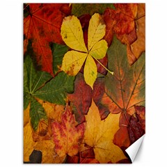 Colorful Autumn Leaves Leaf Background Canvas 36  X 48   by Amaryn4rt