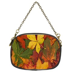 Colorful Autumn Leaves Leaf Background Chain Purses (two Sides)  by Amaryn4rt