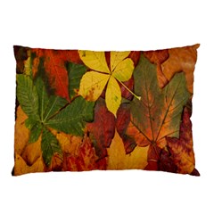 Colorful Autumn Leaves Leaf Background Pillow Case