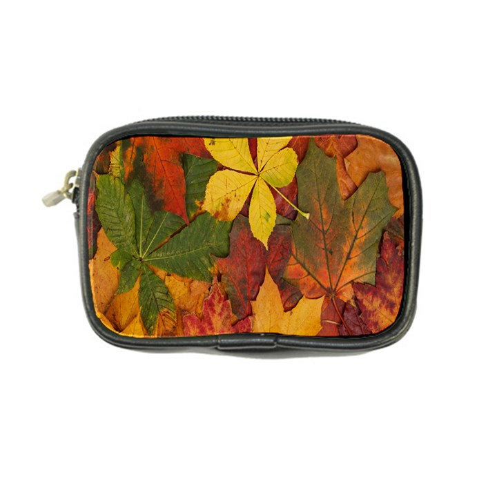 Colorful Autumn Leaves Leaf Background Coin Purse