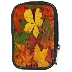 Colorful Autumn Leaves Leaf Background Compact Camera Cases by Amaryn4rt