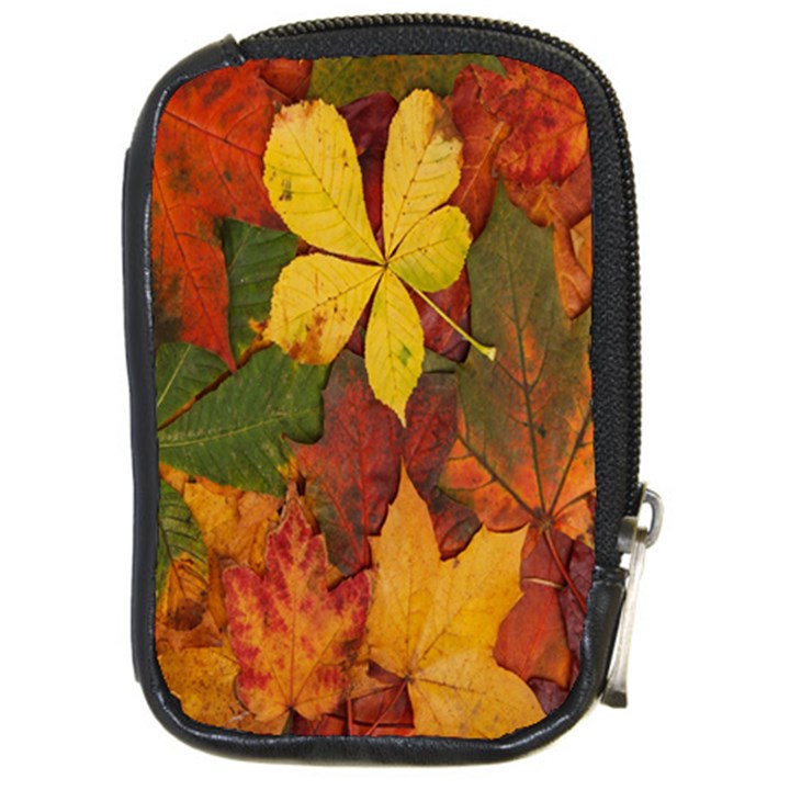 Colorful Autumn Leaves Leaf Background Compact Camera Cases