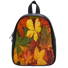 Colorful Autumn Leaves Leaf Background School Bags (small)  by Amaryn4rt