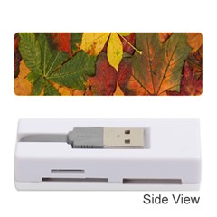 Colorful Autumn Leaves Leaf Background Memory Card Reader (stick) 