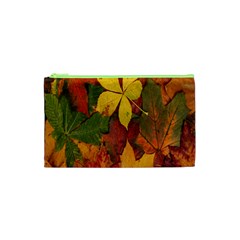 Colorful Autumn Leaves Leaf Background Cosmetic Bag (xs) by Amaryn4rt