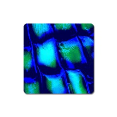 Blue Scales Pattern Background Square Magnet by Amaryn4rt