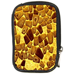 Yellow Cast Background Compact Camera Cases by Amaryn4rt