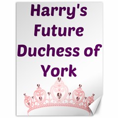 Harry s Duchess Canvas 36  X 48  